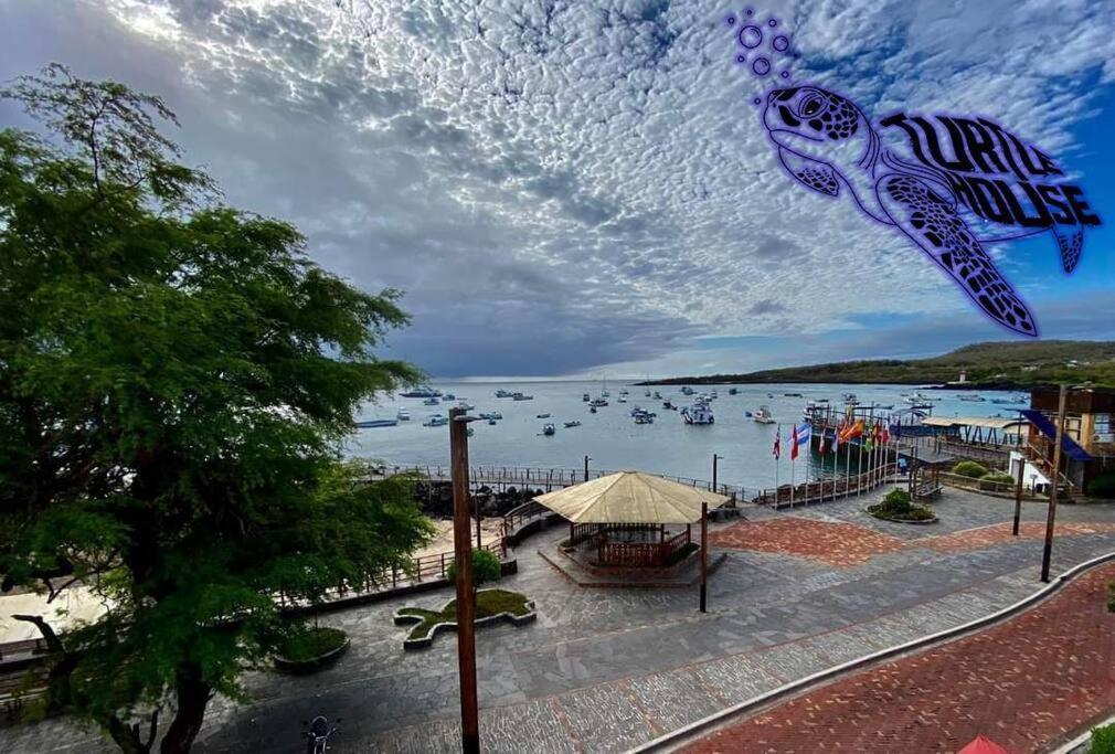 Tortuga House Leilighet Puerto Baquerizo Moreno Eksteriør bilde